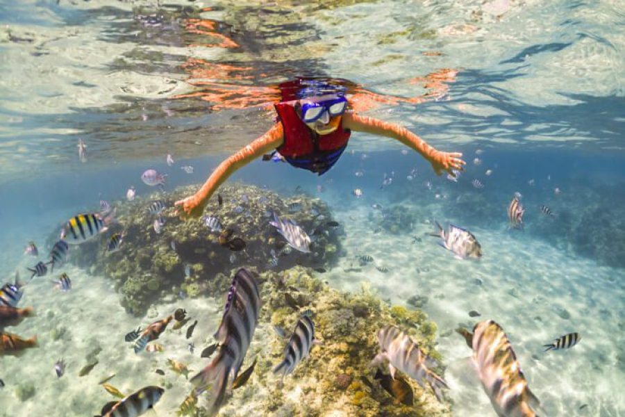 Snorkeling at Mahmya Island