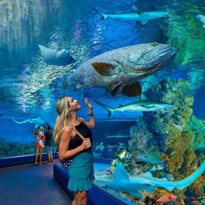 Hurghada Grand Aquarium Guide: Tickets & Reviews